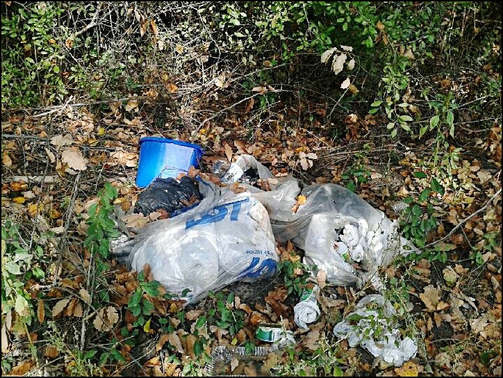 10671501_10205022782959324_910290109678361393_n