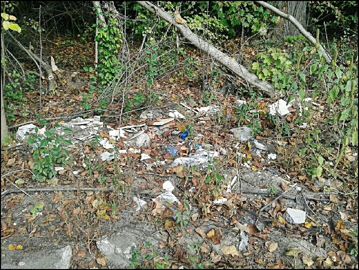 247796_10205022790839521_8981752702803229030_n