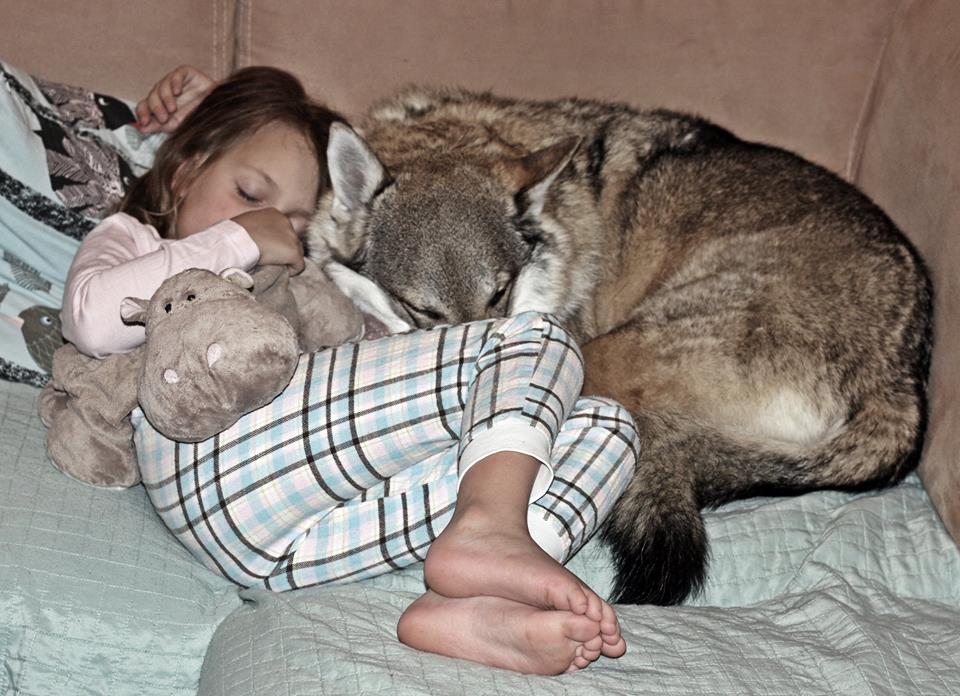 17862854_10212810409365117_5292508581755935752_n