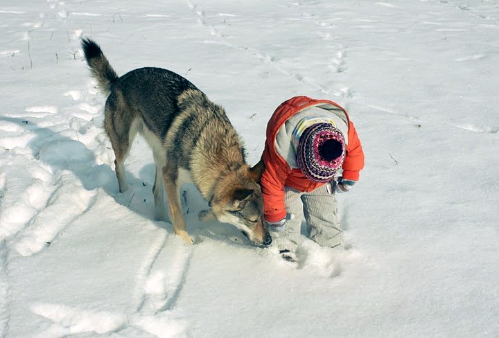 181951_1822179324306_4869060_n