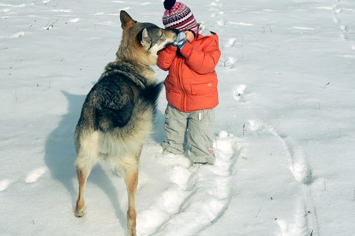 183798_1822179084300_8003049_n