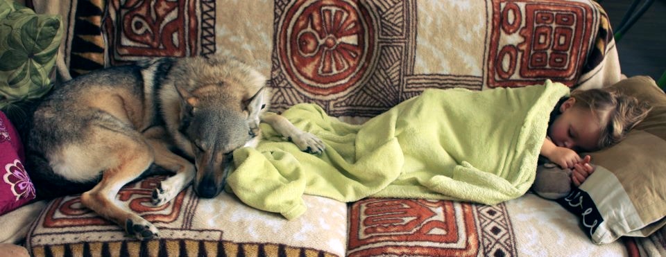 223646_4817853454287_597893081_n