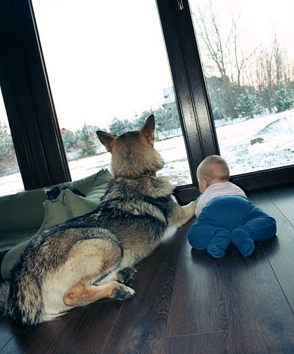 26601_1377493807446_7547656_n