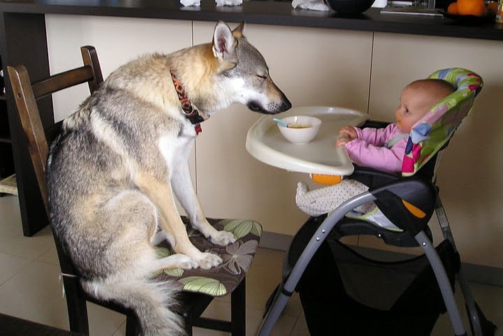 29332_1423216190477_1229008_n