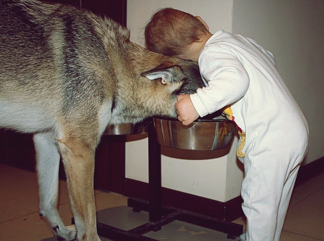 39459_1720250936160_4944980_n