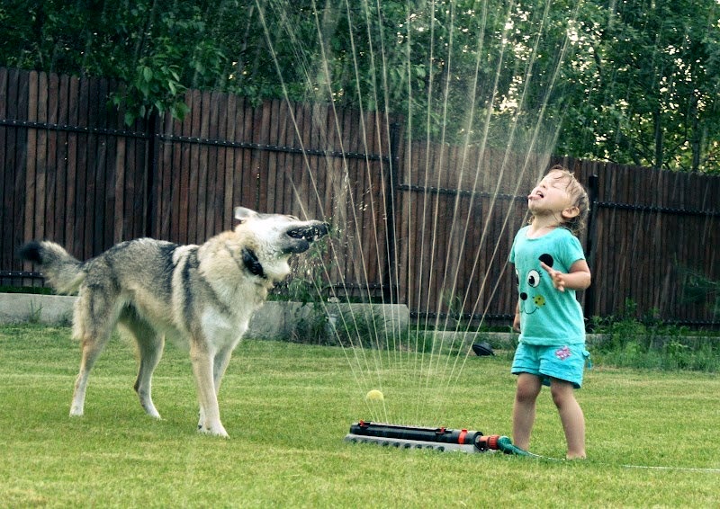 576767_4025807413631_1680804097_n