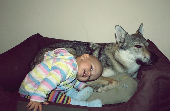 67198_1647641960981_1536022_n