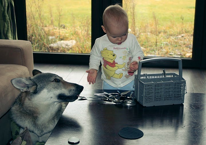 72266_1661043936022_1827486_n